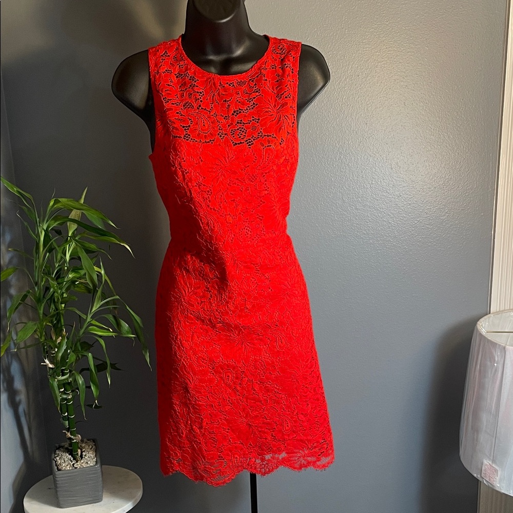 Donna Morgan Red Lace Mini Dress